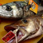 だしの和食　あじなお～八王子・日本料理・無添加レストラン～ <!-- wp:columns -->
<div class="wp-block-columns"><!-- wp:column -->
<div class="wp-block-column"><!-- wp:gallery {"ids":[51],"linkTo":"none"} -->
<figure class="wp-block-gallery columns-1 is-cropped">
<ul class="blocks-gallery-grid">
<li class="blocks-gallery-item">
<figure><img class="alignnone size-full wp-image-7655" src="https://ajinao.com/wp-content/uploads/2025/01/法事　お祝い　やっぱりおいしい≪だしの和食　あじなお≫無添加割烹・八王子.jpg" alt="" width="800" height="533" /></figure>
</li>
</ul>
</figure>
<!-- /wp:gallery -->

<!-- wp:heading {"level":5} -->
<h5><span style="font-family: webdings;">旬を味わい楽しむメニュー</span></h5>
<!-- /wp:heading -->

<!-- wp:paragraph -->
<p><span style="font-family: 'book antiqua', palatino, serif;">当店では「自然なもの」「てづくり」ということを大切にしています。季節ごとに物語のある料理をお楽しみください。</span></p>
<!-- /wp:paragraph -->

<!-- wp:buttons -->
<div class="wp-block-buttons"><!-- wp:button {"style":{"border":{"radius":0}},"className":"is-style-outline"} -->
<div class="wp-block-button is-style-outline"><a class="wp-block-button__link no-border-radius" href="https://ajinao.com/menu/"><strong><span style="color: #ff0000;"> ≪だしの和食　あじなお≫メニューはこちらから</span></strong></a></div>
<!-- /wp:button --></div>
<!-- /wp:buttons -->

<!-- wp:spacer {"height":20} -->
<div class="wp-block-spacer" style="height: 20px;" aria-hidden="true"> </div>
<!-- /wp:spacer --></div>
<!-- /wp:column -->

<!-- wp:column -->
<div class="wp-block-column"><!-- wp:gallery {"ids":[53],"linkTo":"none"} -->
<figure class="wp-block-gallery columns-1 is-cropped">
<ul class="blocks-gallery-grid">
<li class="blocks-gallery-item">
<figure><img class="alignnone size-full wp-image-3236" src="https://ajinao.com/wp-content/uploads/2023/02/DSC07410～やっぱりおいしい≪だしの和食　あじなお≫無添加割烹・八王子～.jpg" alt="" width="1024" height="684" /></figure>
</li>
</ul>
</figure>
<!-- /wp:gallery -->

<!-- wp:heading {"level":5} -->
<h5>お野菜たっぷりテイクアウト</h5>
<!-- /wp:heading -->

<!-- wp:paragraph -->
<p><span style="font-family: 'book antiqua', palatino, serif;">お野菜たっぷりのテイクアウトです。おかずの種類もたくさん。笑顔になってね。お祝い用・法事用もございます。</span></p>
<!-- /wp:paragraph -->

<!-- wp:buttons -->
<div class="wp-block-buttons"><!-- wp:button {"style":{"border":{"radius":0}},"className":"is-style-outline"} -->
<div class="wp-block-button is-style-outline"><span style="font-family: georgia, palatino, serif;"><a class="wp-block-button__link no-border-radius" href="ajinao.com/takeout/"><span style="color: #ff0000;"><strong>テイクアウトメニューは、こちらから</strong></span></a></span></div>
<!-- /wp:button --></div>
<!-- /wp:buttons -->

<!-- wp:spacer {"height":20} -->
<div class="wp-block-spacer" style="height: 20px;" aria-hidden="true"> </div>
<!-- /wp:spacer --></div>
<!-- /wp:column -->

<!-- wp:column -->
<div class="wp-block-column"><!-- wp:gallery {"ids":[55],"linkTo":"none"} -->
<figure class="wp-block-gallery columns-1 is-cropped">
<ul class="blocks-gallery-grid">
<li class="blocks-gallery-item">
<figure><img class="wp-image-55" src="https://ajinao.com/wp-content/uploads/2021/09/無農薬野菜　自然栽培　やっぱりおいしい≪だしの和食　あじなお≫無添加割烹・八王子.jpg" alt="" width="899" height="599" data-id="55" data-full-url="https://ajinao.com/wp-content/uploads/2021/09/無農薬野菜　自然栽培　やっぱりおいしい≪だしの和食　あじなお≫無添加割烹・八王子.jpg" data-link="https://ajinao.com/home/%e7%84%a1%e8%be%b2%e8%96%ac%e9%87%8e%e8%8f%9c%e3%80%80%e8%87%aa%e7%84%b6%e6%a0%bd%e5%9f%b9%e3%80%80%e3%82%84%e3%81%a3%e3%81%b1%e3%82%8a%e3%81%8a%e3%81%84%e3%81%97%e3%81%84%e2%89%aa%e3%81%a0%e3%81%97/" /></figure>
</li>
</ul>
</figure>
<!-- /wp:gallery -->

<!-- wp:heading {"level":5} -->
<h5>ナチュラル食材と生産者さん</h5>
<!-- /wp:heading -->

<!-- wp:paragraph -->
<p><span style="font-family: 'book antiqua', palatino, serif;">「安心」で「おいしい」そして「個性」あるお野菜等を使用しています。個性的で愛らしい生産者の方々です。応援してね。</span></p>
<!-- /wp:paragraph -->

<!-- wp:buttons -->
<div class="wp-block-buttons"><!-- wp:button {"style":{"border":{"radius":0}},"className":"is-style-outline"} -->
<div class="wp-block-button is-style-outline"><a class="wp-block-button__link no-border-radius" href="ajinao.com/shokuzai-seisansha/"><span style="color: #ff0000;"><strong>当店で使用している食材の生産者さんはこちらから</strong></span></a></div>
<!-- /wp:button --></div>
<!-- /wp:buttons -->

<!-- wp:spacer {"height":20} --></div>
<div class="wp-block-column">
<figure class="wp-block-gallery columns-1 is-cropped">
<figure><img class="alignnone size-full wp-image-9306" src="https://ajinao.com/wp-content/uploads/2025/09/おせち料理2024年～八王子めじろ台・無添加割烹レストラン≪だしの和食-あじなお≫.jpg" alt="" width="1024" height="767" /></figure>
</figure>
<!-- /wp:gallery -->

<!-- wp:heading {"level":5} -->
<h5>特別なご案内</h5>
<!-- /wp:heading -->

<!-- wp:paragraph -->
<p><span style="font-family: 'book antiqua', palatino, serif;">「無添加おせち」「国産松茸料理」「鰻・鱧・穴子料理」「筍づくし」等、季節限定料理のご案内です。</span></p>
<!-- /wp:paragraph -->

<!-- wp:buttons -->
<div class="wp-block-buttons"><!-- wp:button {"style":{"border":{"radius":0}},"className":"is-style-outline"} -->
<div class="wp-block-button is-style-outline"><span style="color: #ff0000;"><strong><a class="wp-block-button__link no-border-radius" style="color: #ff0000;" href="ajinao.com/special-aste/">特別なご案内はこちらから</a></strong></span></div>
</div>
<!-- /wp:paragraph --></div>
<!-- /wp:column --></div>
<!-- /wp:columns -->

<!-- wp:cover {"customOverlayColor":"#f3f3f3","minHeight":250,"contentPosition":"center center","align":"full"} -->
<div class="wp-block-cover alignfull has-background-dim" style="background-color: #f3f3f3; min-height: 250px;">
<div class="wp-block-cover__inner-container"><!-- wp:spacer {"height":40} -->
<div class="wp-block-spacer" style="height: 40px;" aria-hidden="true"> </div>
<!-- /wp:spacer -->

<!-- wp:columns {"verticalAlignment":"center"} -->
<div class="wp-block-columns are-vertically-aligned-center"><!-- wp:column {"verticalAlignment":"center","width":"33.33%"} -->
<div class="wp-block-column is-vertically-aligned-center" style="flex-basis: 33.33%;"><!-- wp:gallery {"ids":[57],"linkTo":"none","align":"center"} -->
<figure class="wp-block-gallery aligncenter columns-1 is-cropped">
<ul class="blocks-gallery-grid">
<li class="blocks-gallery-item">
<figure><img class="alignnone size-full wp-image-7643" src="https://ajinao.com/wp-content/uploads/2025/01/店主・女将・やっぱりおいしい《だしの和食　あじなお》八王子・無添加.jpg" alt="" width="541" height="450" /></figure>
</li>
</ul>
</figure>
<!-- /wp:gallery --></div>
<!-- /wp:column -->

<!-- wp:column {"verticalAlignment":"center","width":"66.66%"} -->
<div class="wp-block-column is-vertically-aligned-center" style="flex-basis: 66.66%;"><!-- wp:heading {"level":4,"textColor":"black"} -->
<h4 class="has-black-color has-text-color">安心と信頼を大切にしています。リラックスしてお過ごしください。</h4>
<!-- /wp:heading -->

<!-- wp:paragraph {"textColor":"black"} -->
<p class="has-black-color has-text-color"><span style="font-family: 'book antiqua', palatino, serif;">おいしい料理であることはもちろん、安心してお召し上がりいただけますように努めております。お客さまとのコミュニケーションを大切に、気持ち良く笑顔でお過ごしいただけましたら幸いです。堅苦しくない、リラックスできる和食をお楽しみください。</span></p>
<!-- /wp:paragraph --></div>
<!-- /wp:column --></div>
<!-- /wp:columns --></div>
</div>
<!-- /wp:cover -->

<!-- wp:spacer {"height":60} -->
<div class="wp-block-spacer" style="height: 60px;" aria-hidden="true"> </div>
<!-- /wp:spacer -->

<!-- wp:heading -->
<h2>News & Information＆Blog</h2>
<!-- /wp:heading -->

<!-- wp:latest-posts {"displayPostContent":true,"displayPostDate":true,"displayFeaturedImage":true,"featuredImageAlign":"left","addLinkToFeaturedImage":true} /-->  だしの和食 あじなお～八王子・日本料理・無添加レストラン～ - ゆったり落ち着いて食事できる隠れ家和食店。 お祝い・記念日・法事等、ご家族での特別なランチ・ディナーに最適。ナチュラル食材・国産食材使用店。 ゆったり落ち着いて食事できる隠れ家和食店。 お祝い・記念日・法事等、ご家族での特別なランチ・ディナーに最適。ナチュラル食材・国産食材使用店。 あら　さわら　おいしい魚の見分け方　あたまが小さい魚は美味　八王子無添加高級日本料理レストラン≪だしの和食　あじなお≫