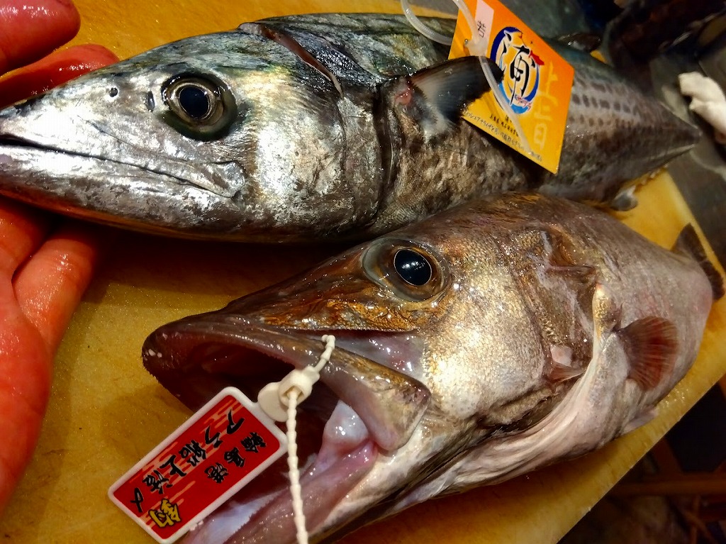 だしの和食　あじなお～八王子・日本料理・無添加レストラン～   #【おいしい魚の見分け方】～意外な見分け方編～ – だしの和食 あじなお～八王子・日本料理・無添加レストラン～ 困ったことがあったら あなたは何を見ているのか？ 自分を観察してみましょう &nb – 困ったことがあったら あなたは何を見ているのか？ 自分を観察してみましょう &nb あら　さわら　おいしい魚の見分け方　あたまが小さい魚は美味　八王子無添加高級日本料理レストラン≪だしの和食　あじなお≫