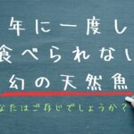 だしの和食　あじなお～八王子・日本料理・無添加レストラン～ <!-- wp:columns -->
<div class="wp-block-columns"><!-- wp:column -->
<div class="wp-block-column"><!-- wp:gallery {"ids":[51],"linkTo":"none"} -->
<figure class="wp-block-gallery columns-1 is-cropped">
<ul class="blocks-gallery-grid">
<li class="blocks-gallery-item">
<figure><img class="alignnone size-full wp-image-7655" src="https://ajinao.com/wp-content/uploads/2025/01/法事　お祝い　やっぱりおいしい≪だしの和食　あじなお≫無添加割烹・八王子.jpg" alt="" width="800" height="533" /></figure>
</li>
</ul>
</figure>
<!-- /wp:gallery -->

<!-- wp:heading {"level":5} -->
<h5><span style="font-family: webdings;">旬を味わい楽しむメニュー</span></h5>
<!-- /wp:heading -->

<!-- wp:paragraph -->
<p><span style="font-family: 'book antiqua', palatino, serif;">当店では「自然なもの」「てづくり」ということを大切にしています。季節ごとに物語のある料理をお楽しみください。</span></p>
<!-- /wp:paragraph -->

<!-- wp:buttons -->
<div class="wp-block-buttons"><!-- wp:button {"style":{"border":{"radius":0}},"className":"is-style-outline"} -->
<div class="wp-block-button is-style-outline"><a class="wp-block-button__link no-border-radius" href="https://ajinao.com/menu/"><strong><span style="color: #ff0000;"> ≪だしの和食　あじなお≫メニューはこちらから</span></strong></a></div>
<!-- /wp:button --></div>
<!-- /wp:buttons -->

<!-- wp:spacer {"height":20} -->
<div class="wp-block-spacer" style="height: 20px;" aria-hidden="true"> </div>
<!-- /wp:spacer --></div>
<!-- /wp:column -->

<!-- wp:column -->
<div class="wp-block-column"><!-- wp:gallery {"ids":[53],"linkTo":"none"} -->
<figure class="wp-block-gallery columns-1 is-cropped">
<ul class="blocks-gallery-grid">
<li class="blocks-gallery-item">
<figure><img class="alignnone size-full wp-image-3236" src="https://ajinao.com/wp-content/uploads/2023/02/DSC07410～やっぱりおいしい≪だしの和食　あじなお≫無添加割烹・八王子～.jpg" alt="" width="1024" height="684" /></figure>
</li>
</ul>
</figure>
<!-- /wp:gallery -->

<!-- wp:heading {"level":5} -->
<h5>お野菜たっぷりテイクアウト</h5>
<!-- /wp:heading -->

<!-- wp:paragraph -->
<p><span style="font-family: 'book antiqua', palatino, serif;">お野菜たっぷりのテイクアウトです。おかずの種類もたくさん。笑顔になってね。お祝い用・法事用もございます。</span></p>
<!-- /wp:paragraph -->

<!-- wp:buttons -->
<div class="wp-block-buttons"><!-- wp:button {"style":{"border":{"radius":0}},"className":"is-style-outline"} -->
<div class="wp-block-button is-style-outline"><span style="font-family: georgia, palatino, serif;"><a class="wp-block-button__link no-border-radius" href="ajinao.com/takeout/"><span style="color: #ff0000;"><strong>テイクアウトメニューは、こちらから</strong></span></a></span></div>
<!-- /wp:button --></div>
<!-- /wp:buttons -->

<!-- wp:spacer {"height":20} -->
<div class="wp-block-spacer" style="height: 20px;" aria-hidden="true"> </div>
<!-- /wp:spacer --></div>
<!-- /wp:column -->

<!-- wp:column -->
<div class="wp-block-column"><!-- wp:gallery {"ids":[55],"linkTo":"none"} -->
<figure class="wp-block-gallery columns-1 is-cropped">
<ul class="blocks-gallery-grid">
<li class="blocks-gallery-item">
<figure><img class="wp-image-55" src="https://ajinao.com/wp-content/uploads/2021/09/無農薬野菜　自然栽培　やっぱりおいしい≪だしの和食　あじなお≫無添加割烹・八王子.jpg" alt="" width="899" height="599" data-id="55" data-full-url="https://ajinao.com/wp-content/uploads/2021/09/無農薬野菜　自然栽培　やっぱりおいしい≪だしの和食　あじなお≫無添加割烹・八王子.jpg" data-link="https://ajinao.com/home/%e7%84%a1%e8%be%b2%e8%96%ac%e9%87%8e%e8%8f%9c%e3%80%80%e8%87%aa%e7%84%b6%e6%a0%bd%e5%9f%b9%e3%80%80%e3%82%84%e3%81%a3%e3%81%b1%e3%82%8a%e3%81%8a%e3%81%84%e3%81%97%e3%81%84%e2%89%aa%e3%81%a0%e3%81%97/" /></figure>
</li>
</ul>
</figure>
<!-- /wp:gallery -->

<!-- wp:heading {"level":5} -->
<h5>ナチュラル食材と生産者さん</h5>
<!-- /wp:heading -->

<!-- wp:paragraph -->
<p><span style="font-family: 'book antiqua', palatino, serif;">「安心」で「おいしい」そして「個性」あるお野菜等を使用しています。個性的で愛らしい生産者の方々です。応援してね。</span></p>
<!-- /wp:paragraph -->

<!-- wp:buttons -->
<div class="wp-block-buttons"><!-- wp:button {"style":{"border":{"radius":0}},"className":"is-style-outline"} -->
<div class="wp-block-button is-style-outline"><a class="wp-block-button__link no-border-radius" href="ajinao.com/shokuzai-seisansha/"><span style="color: #ff0000;"><strong>当店で使用している食材の生産者さんはこちらから</strong></span></a></div>
<!-- /wp:button --></div>
<!-- /wp:buttons -->

<!-- wp:spacer {"height":20} --></div>
<div class="wp-block-column">
<figure class="wp-block-gallery columns-1 is-cropped">
<figure><img class="alignnone size-full wp-image-9306" src="https://ajinao.com/wp-content/uploads/2025/09/おせち料理2024年～八王子めじろ台・無添加割烹レストラン≪だしの和食-あじなお≫.jpg" alt="" width="1024" height="767" /></figure>
</figure>
<!-- /wp:gallery -->

<!-- wp:heading {"level":5} -->
<h5>特別なご案内</h5>
<!-- /wp:heading -->

<!-- wp:paragraph -->
<p><span style="font-family: 'book antiqua', palatino, serif;">「無添加おせち」「国産松茸料理」「鰻・鱧・穴子料理」「筍づくし」等、季節限定料理のご案内です。</span></p>
<!-- /wp:paragraph -->

<!-- wp:buttons -->
<div class="wp-block-buttons"><!-- wp:button {"style":{"border":{"radius":0}},"className":"is-style-outline"} -->
<div class="wp-block-button is-style-outline"><span style="color: #ff0000;"><strong><a class="wp-block-button__link no-border-radius" style="color: #ff0000;" href="ajinao.com/special-aste/">特別なご案内はこちらから</a></strong></span></div>
</div>
<!-- /wp:paragraph --></div>
<!-- /wp:column --></div>
<!-- /wp:columns -->

<!-- wp:cover {"customOverlayColor":"#f3f3f3","minHeight":250,"contentPosition":"center center","align":"full"} -->
<div class="wp-block-cover alignfull has-background-dim" style="background-color: #f3f3f3; min-height: 250px;">
<div class="wp-block-cover__inner-container"><!-- wp:spacer {"height":40} -->
<div class="wp-block-spacer" style="height: 40px;" aria-hidden="true"> </div>
<!-- /wp:spacer -->

<!-- wp:columns {"verticalAlignment":"center"} -->
<div class="wp-block-columns are-vertically-aligned-center"><!-- wp:column {"verticalAlignment":"center","width":"33.33%"} -->
<div class="wp-block-column is-vertically-aligned-center" style="flex-basis: 33.33%;"><!-- wp:gallery {"ids":[57],"linkTo":"none","align":"center"} -->
<figure class="wp-block-gallery aligncenter columns-1 is-cropped">
<ul class="blocks-gallery-grid">
<li class="blocks-gallery-item">
<figure><img class="alignnone size-full wp-image-7643" src="https://ajinao.com/wp-content/uploads/2025/01/店主・女将・やっぱりおいしい《だしの和食　あじなお》八王子・無添加.jpg" alt="" width="541" height="450" /></figure>
</li>
</ul>
</figure>
<!-- /wp:gallery --></div>
<!-- /wp:column -->

<!-- wp:column {"verticalAlignment":"center","width":"66.66%"} -->
<div class="wp-block-column is-vertically-aligned-center" style="flex-basis: 66.66%;"><!-- wp:heading {"level":4,"textColor":"black"} -->
<h4 class="has-black-color has-text-color">安心と信頼を大切にしています。リラックスしてお過ごしください。</h4>
<!-- /wp:heading -->

<!-- wp:paragraph {"textColor":"black"} -->
<p class="has-black-color has-text-color"><span style="font-family: 'book antiqua', palatino, serif;">おいしい料理であることはもちろん、安心してお召し上がりいただけますように努めております。お客さまとのコミュニケーションを大切に、気持ち良く笑顔でお過ごしいただけましたら幸いです。堅苦しくない、リラックスできる和食をお楽しみください。</span></p>
<!-- /wp:paragraph --></div>
<!-- /wp:column --></div>
<!-- /wp:columns --></div>
</div>
<!-- /wp:cover -->

<!-- wp:spacer {"height":60} -->
<div class="wp-block-spacer" style="height: 60px;" aria-hidden="true"> </div>
<!-- /wp:spacer -->

<!-- wp:heading -->
<h2>News & Information＆Blog</h2>
<!-- /wp:heading -->

<!-- wp:latest-posts {"displayPostContent":true,"displayPostDate":true,"displayFeaturedImage":true,"featuredImageAlign":"left","addLinkToFeaturedImage":true} /-->  だしの和食 あじなお～八王子・日本料理・無添加レストラン～ - ゆったり落ち着いて食事できる隠れ家和食店。 お祝い・記念日・法事等、ご家族での特別なランチ・ディナーに最適。ナチュラル食材・国産食材使用店。 ゆったり落ち着いて食事できる隠れ家和食店。 お祝い・記念日・法事等、ご家族での特別なランチ・ディナーに最適。ナチュラル食材・国産食材使用店。 アダムスラン広告用サムネイルこれで Chalkboard-style image with white Japanese text: '4年に一度しか食べられない「幻の天然魚」', red underline, and green text 'あなたはご存じでしょうか？' with a hand drawing pointing to the line