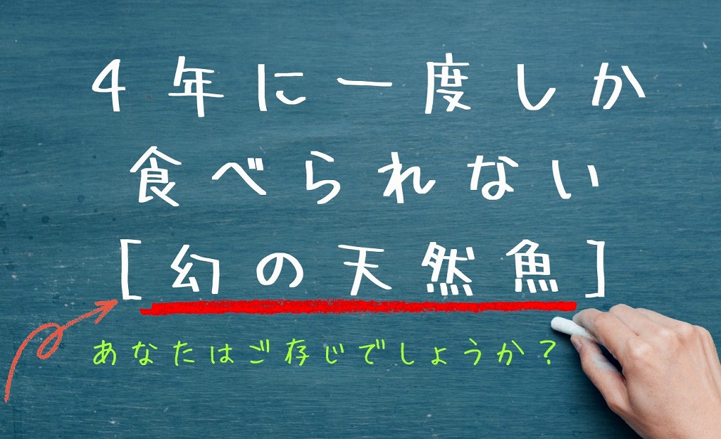 だしの和食　あじなお～八王子・日本料理・無添加レストラン～   初めてのお客様へ – だしの和食 あじなお～八王子・日本料理・無添加レストラン～  「初めまして」 ≪だしの和食 あじなお≫ 店主 打 – 「初めまして」 ≪だしの和食 あじなお≫ 店主 打 アダムスラン広告用サムネイルこれでだしの和食　あじなお～八王子・日本料理・無添加レストラン～ Chalkboard-style image showing Japanese text:'4年に一度しか食べられない『幻の天然魚』' underlined in red, with a green caption 'あなたはご存じでしょうか？' and a hand holding chalk on the right.